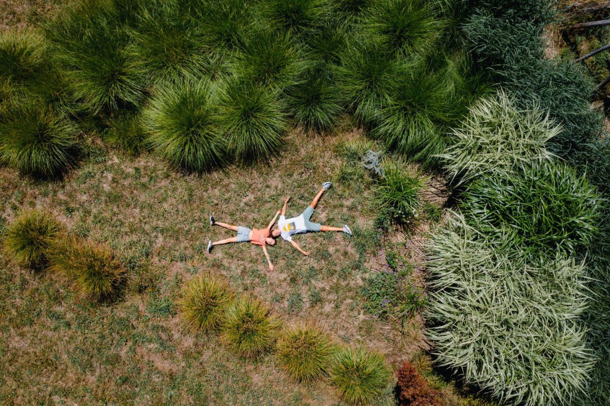 Les Jardins de Lornay