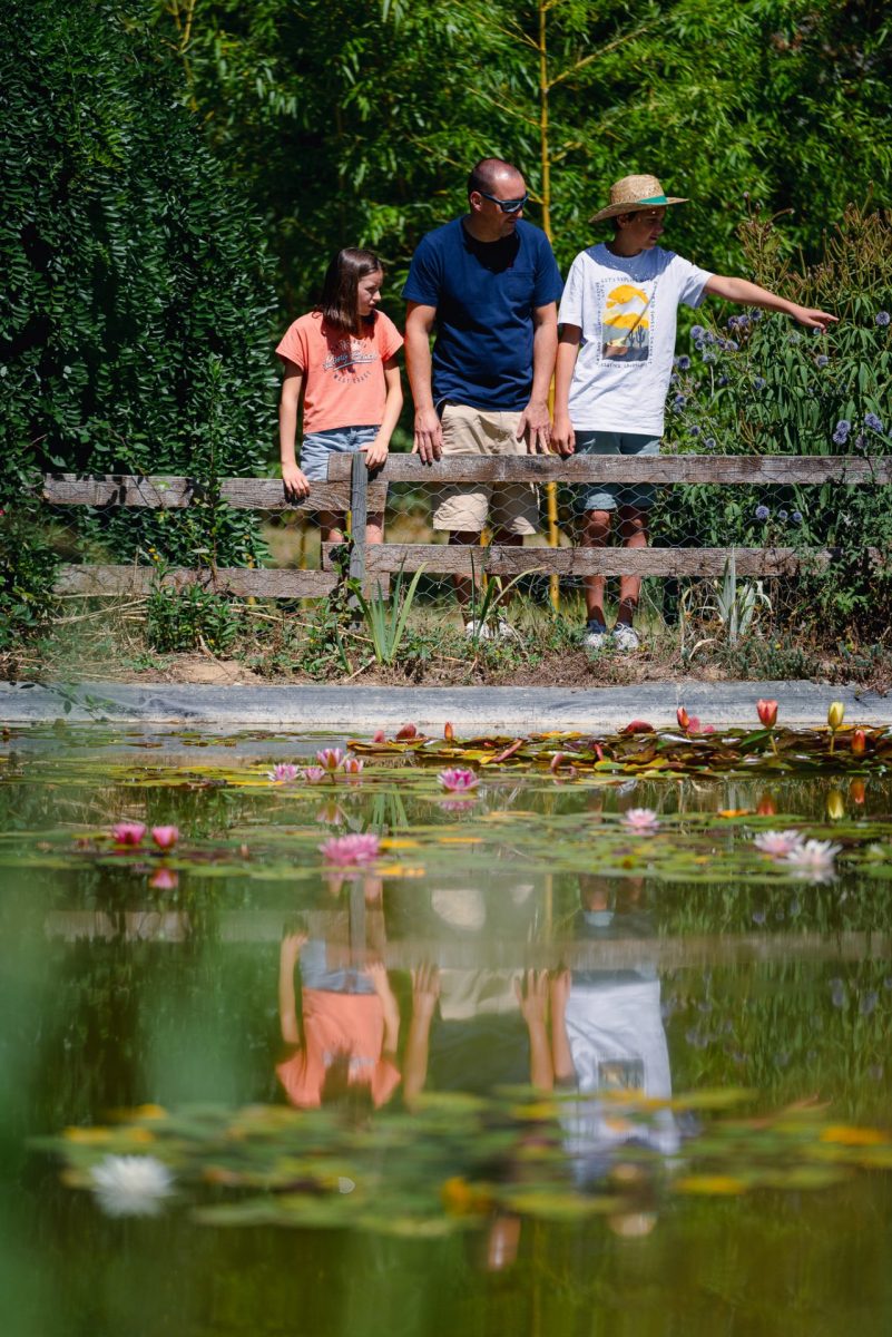 Au bord de la mare.Découverte en famille des Jardins de Lornay.