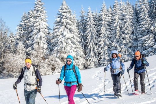 Raquettes à neige : nos itinéraires préférés