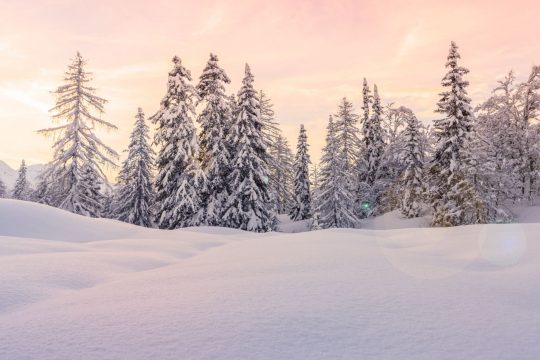 4 bonnes raisons de craquer pour Rumilly-Albanais cet hiver